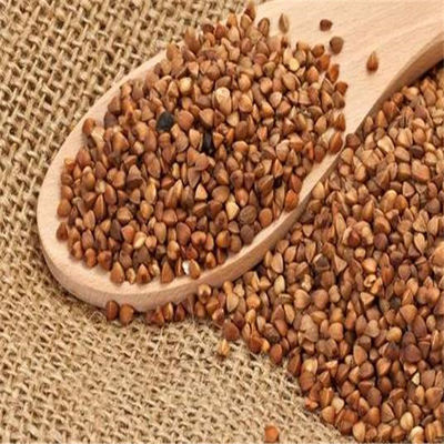 Mobile Circulation 10m3 11000m3/H Batch Grain Dryer