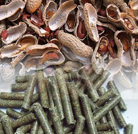 Παραγωγή σβόλων της Shell φυστικιών